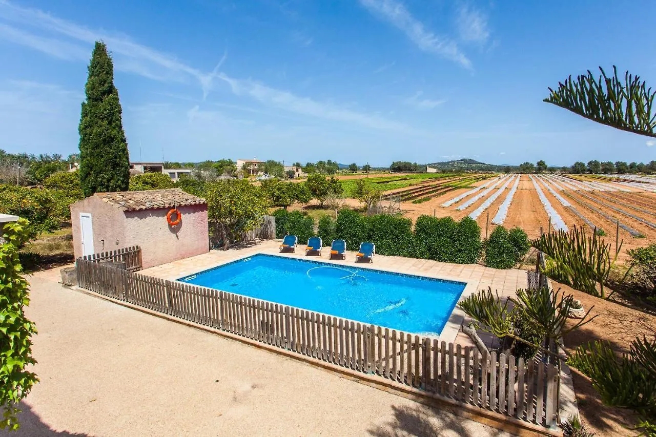 Sa Volta Nova Villa Porreres Holiday home